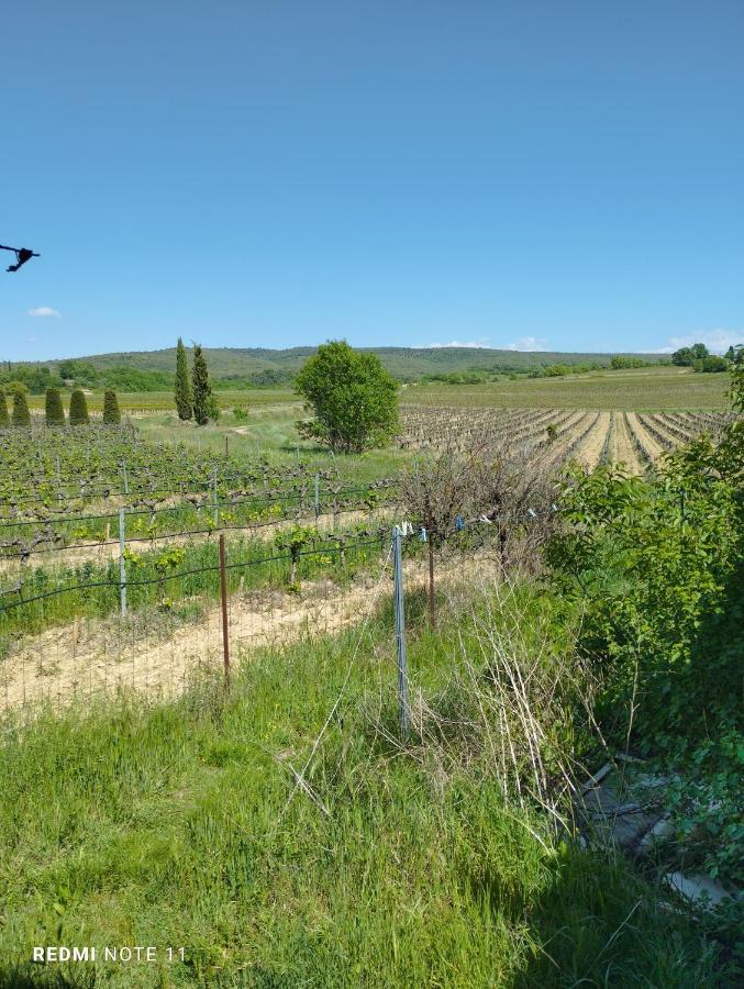 Chambre D Hotes En Provence, Au Pied Du Luberon, Les Coquelicots La Tour-dʼAigues Exterior foto